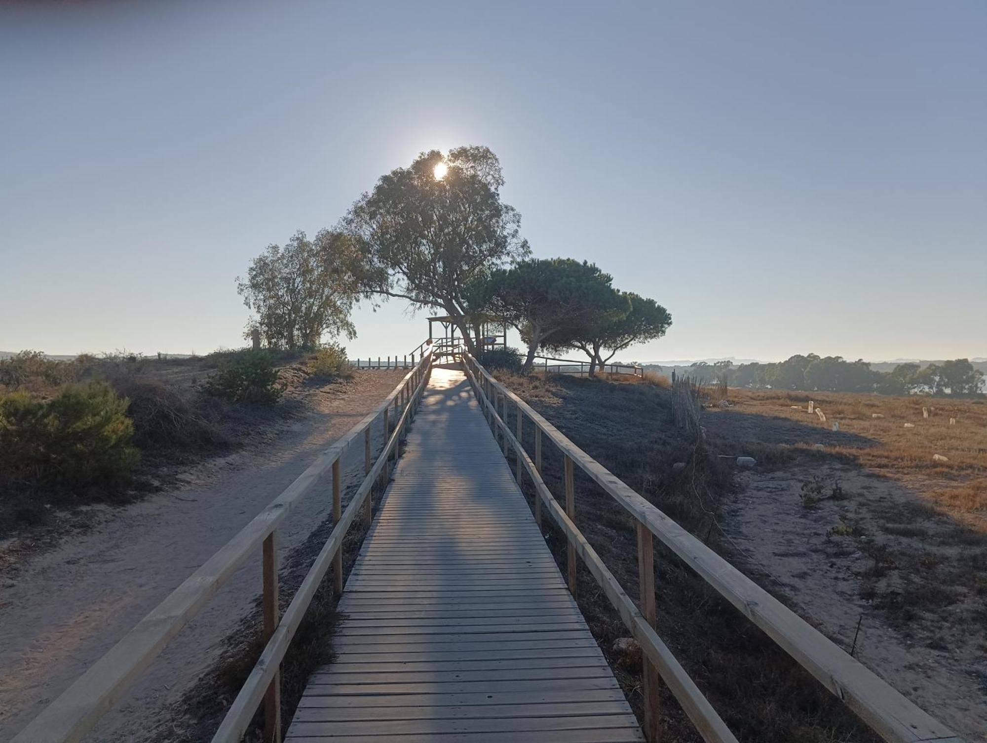 Bonito Apartamento 150 M De La Playa La Mata La Mata  Dış mekan fotoğraf