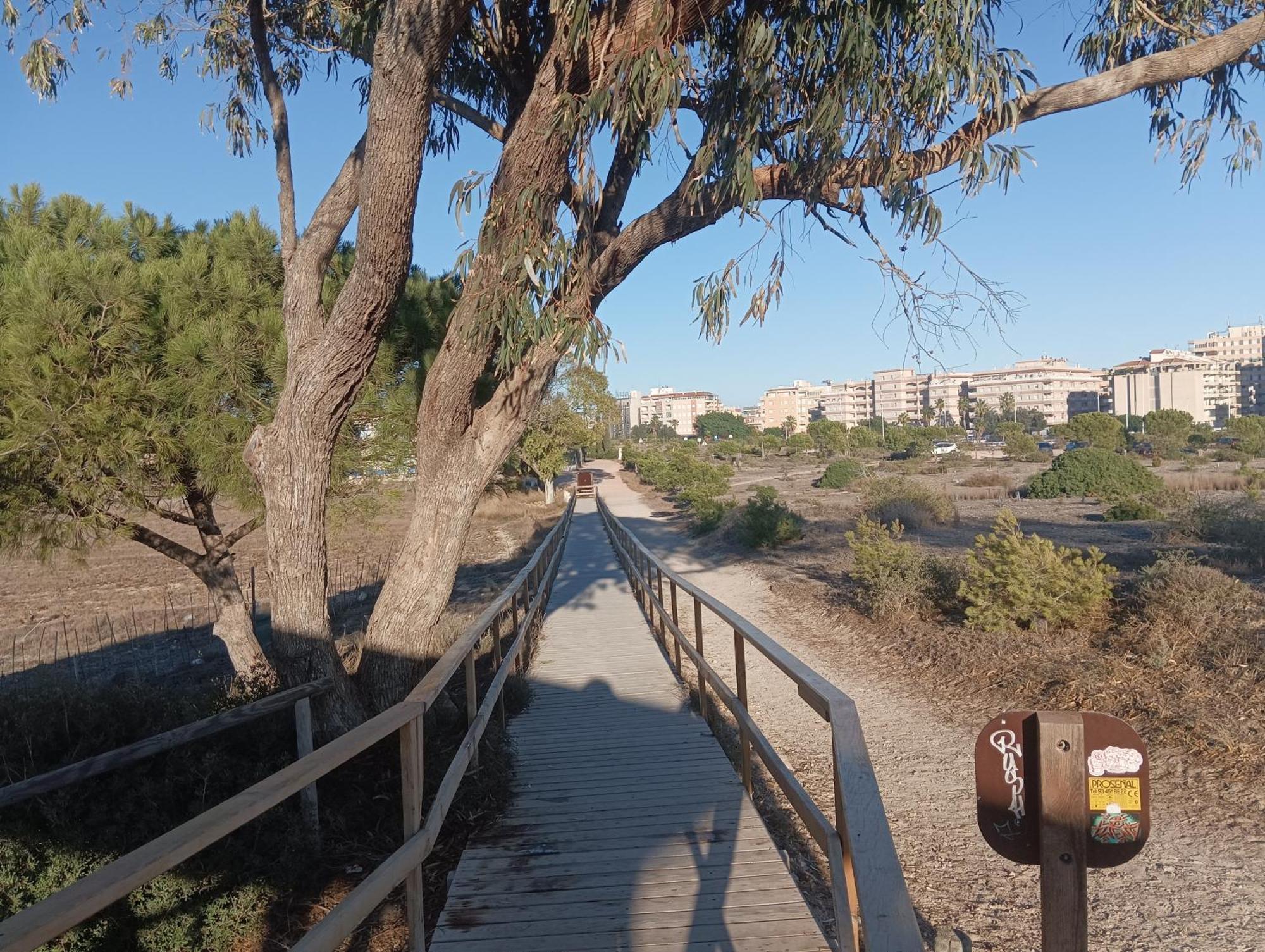 Bonito Apartamento 150 M De La Playa La Mata La Mata  Dış mekan fotoğraf