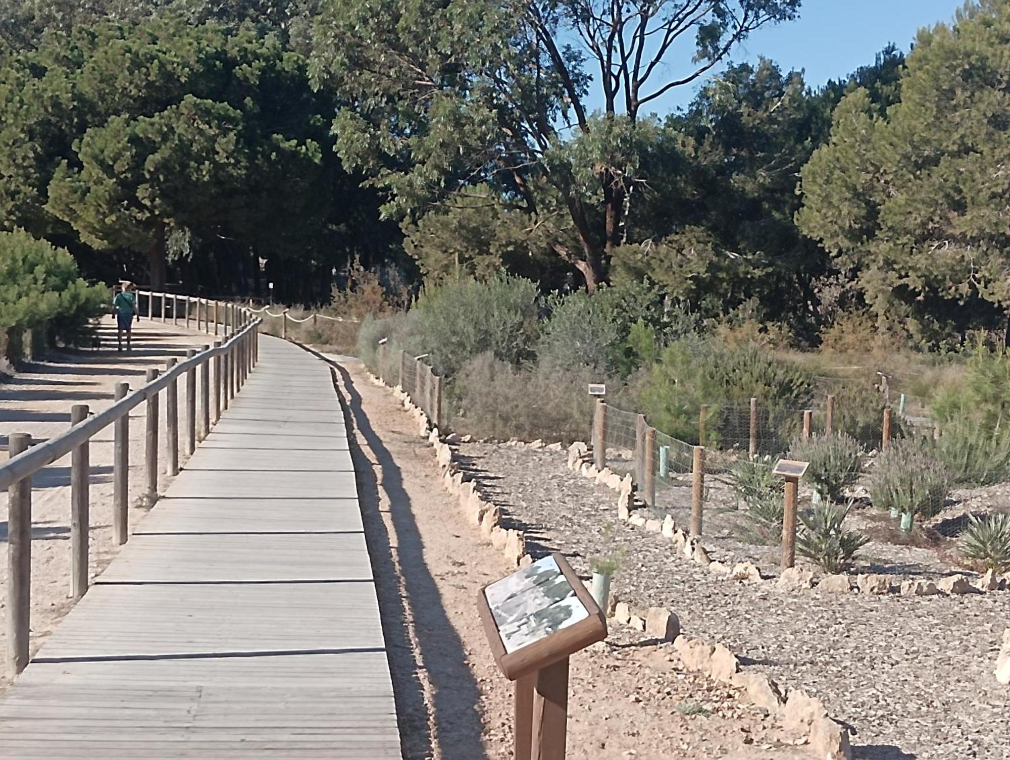 Bonito Apartamento 150 M De La Playa La Mata La Mata  Dış mekan fotoğraf