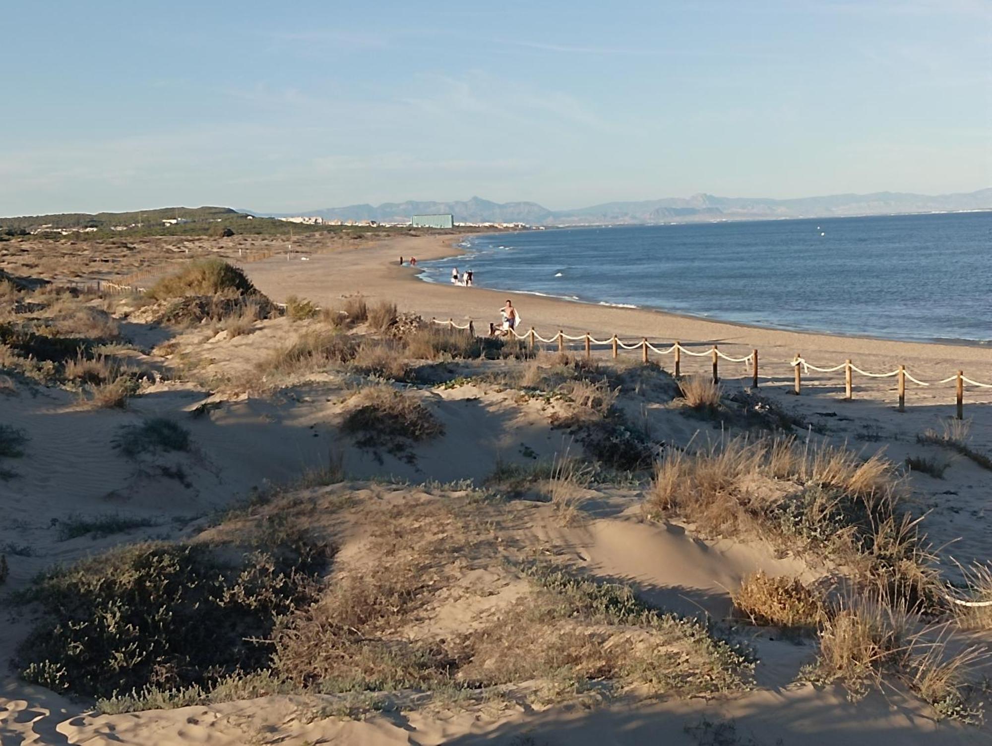 Bonito Apartamento 150 M De La Playa La Mata La Mata  Dış mekan fotoğraf