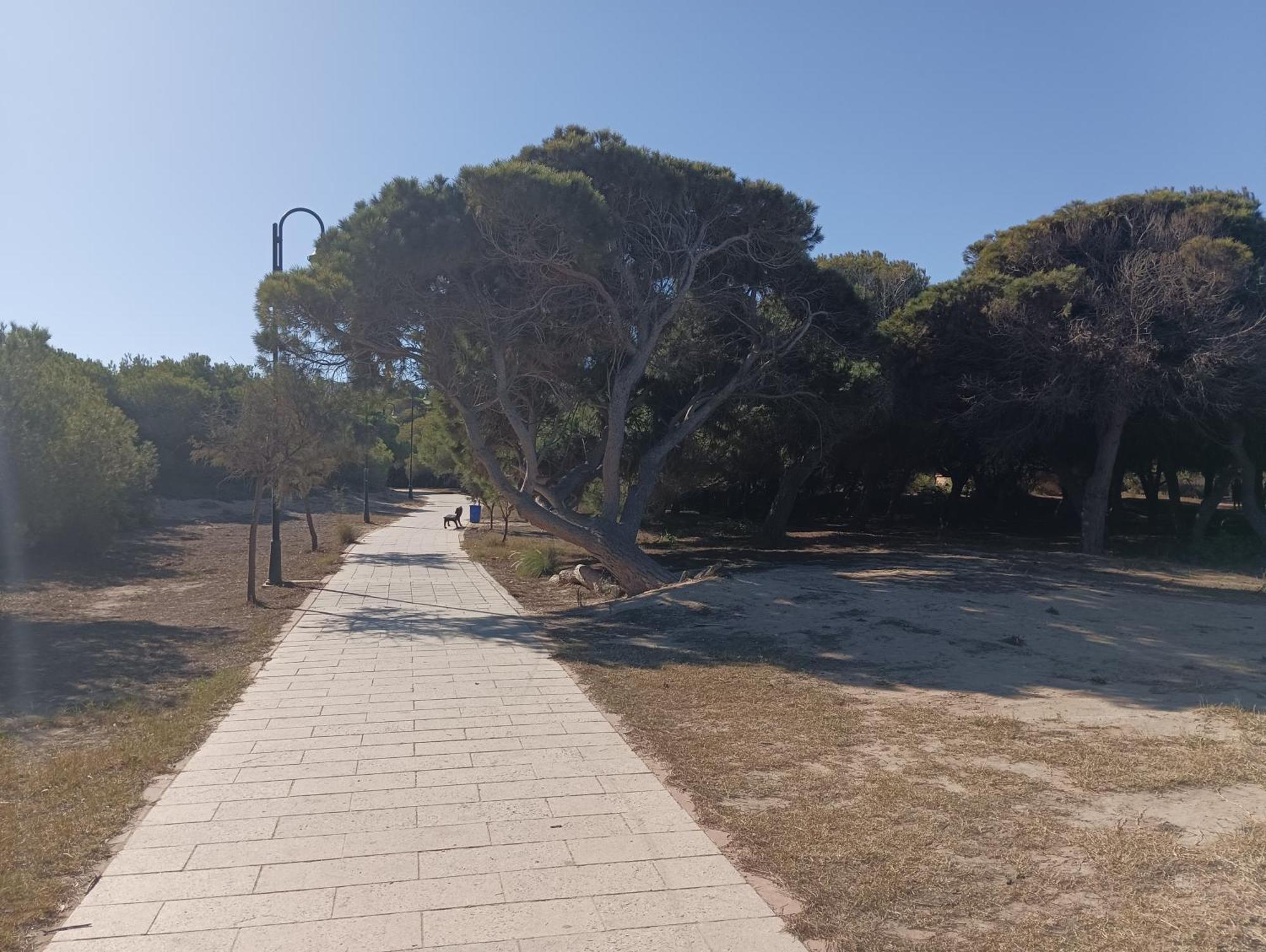 Bonito Apartamento 150 M De La Playa La Mata La Mata  Dış mekan fotoğraf