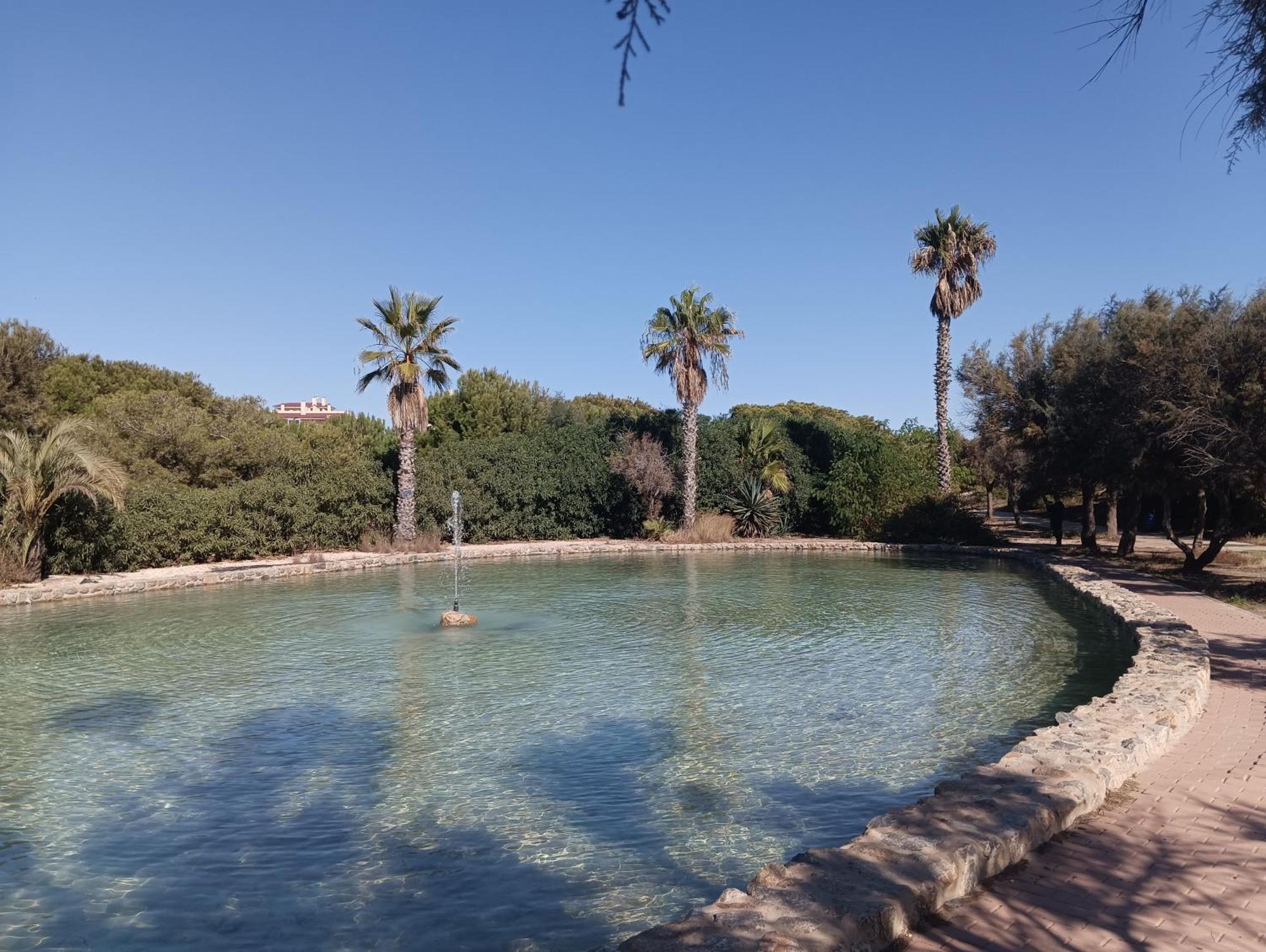 Bonito Apartamento 150 M De La Playa La Mata La Mata  Dış mekan fotoğraf