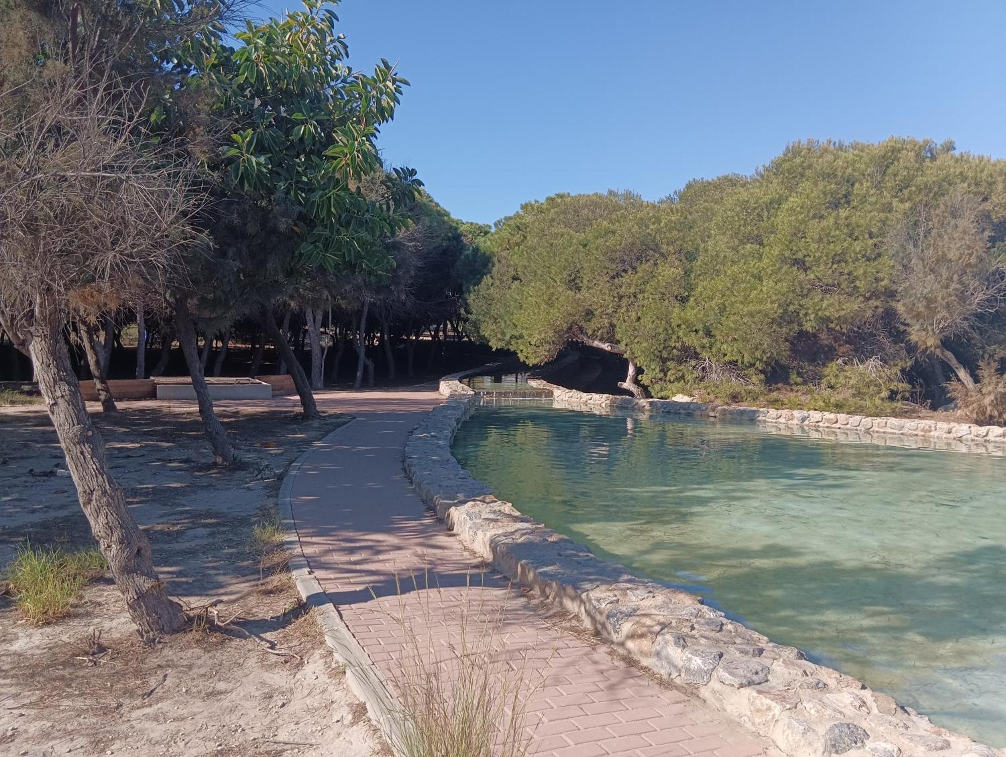 Bonito Apartamento 150 M De La Playa La Mata La Mata  Dış mekan fotoğraf